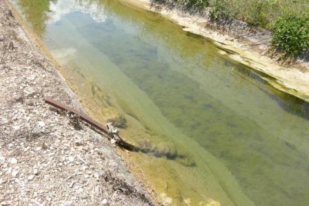 Canal de Gignac, Branche Droite radiergignac.jpg