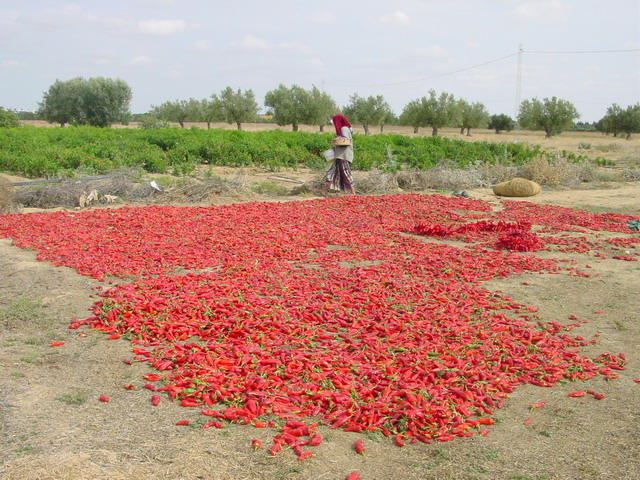 usage1.jpg usage1.jpg