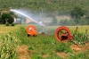 Etude Irstea 2017 sur l'évaluation des économies d’eau potentielles à la parcelle réalisables par la modernisation des systèmes d’irrigation - C. Serra-Wittling et B. Molle